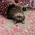 Dawn Hakala's profile image