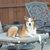 Jacki Farar Apligian's profile image