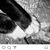 Anna Holloway Furman's profile image