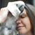 Beth Badrak's profile image