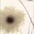 Jennifer Liu's profile image