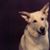 Karin M Schmidt's profile image