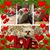 Yvonne Sanchez Bedient's profile image