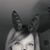 Michelle N Billings's profile image