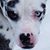 William L Murray IV's profile image