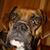 Misti Jackson's profile image