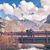 Bennett Whitwood's profile image