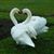 Cynthia Campbell Hines's profile image