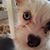 Heather McGee's profile image