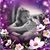 Jane Crouch's profile image