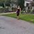 Danys Vialet's profile image