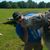 Josh Rohrscheib's profile image