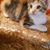 Shirley Earlywine Willoughby's profile image