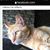 Linda Horton's profile image