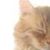 Josh Woodward's profile image