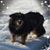 Karen Roberts Antolik's profile image