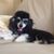 Reneta Stevenson's profile image
