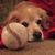 Chas-chuck Hutchison's profile image