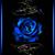 Amanda Grigsby's profile image