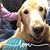 Roxann Lhamon's profile image