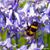 Laura Murray's profile image