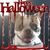 Margie Spuches's profile image