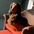 Erle Morring's profile image