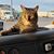 Leanne Veer's profile image