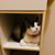 Neilynn Haverlah Hebert's profile image