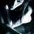 Stevee Nielson's profile image