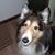 Toni-Jean Gundersen's profile image