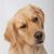 Cooper Maddox's profile image