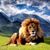 Dan Velic's profile image