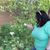 Jessica Encina's profile image