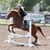 Debbie Tyess Korsmo's profile image
