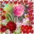 Sadia Faruqi's profile image