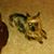 Sheila R. Rogers's profile image