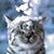 Donna Best's profile image
