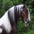 Tamara Bartholomew's profile image