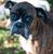 Kate Santmyer's profile image