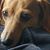 Barbie Blackhall's profile image