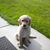 David B. Griffin's profile image