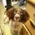Debra Jaramillo's profile image