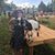 Dawn Thompson's profile image