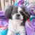 Lori Brecht's profile image