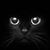 Cathy Springer's profile image