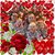 Linda M Ryan-Antonich's profile image