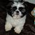Beckie-Aric Leonard's profile image