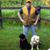 Bob Crooker's profile image