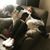 Hailey Dieken's profile image
